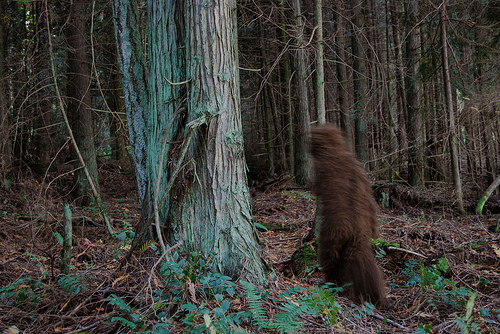 Learning Game Designers Game-Based Learning Bigfoot